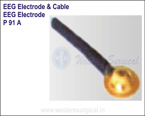 EEG Electrode