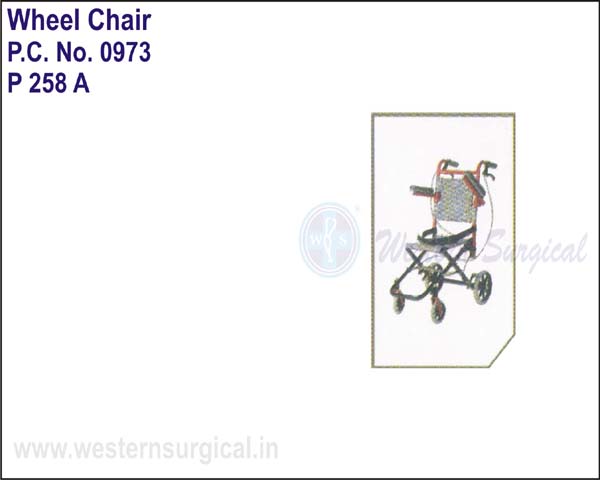 Transit Wheel Chair For Transit Passengers While Traveling