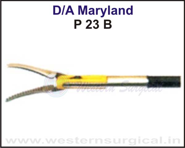 D / A Maryland