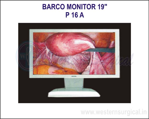 Barco Monitor 19