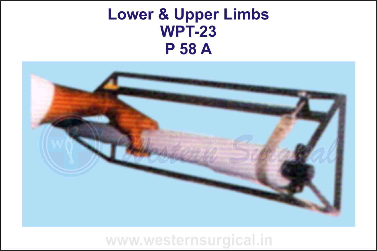 Lower & Upper Limbs