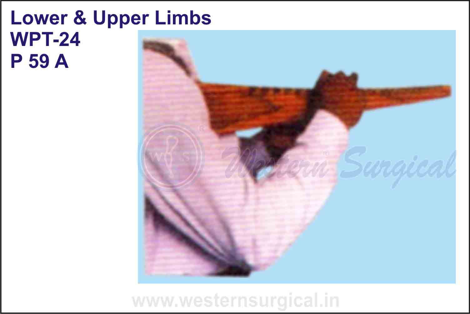 Lower & Upper Limbs