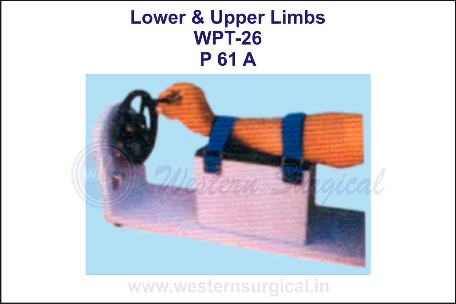 Lower & Upper Limbs