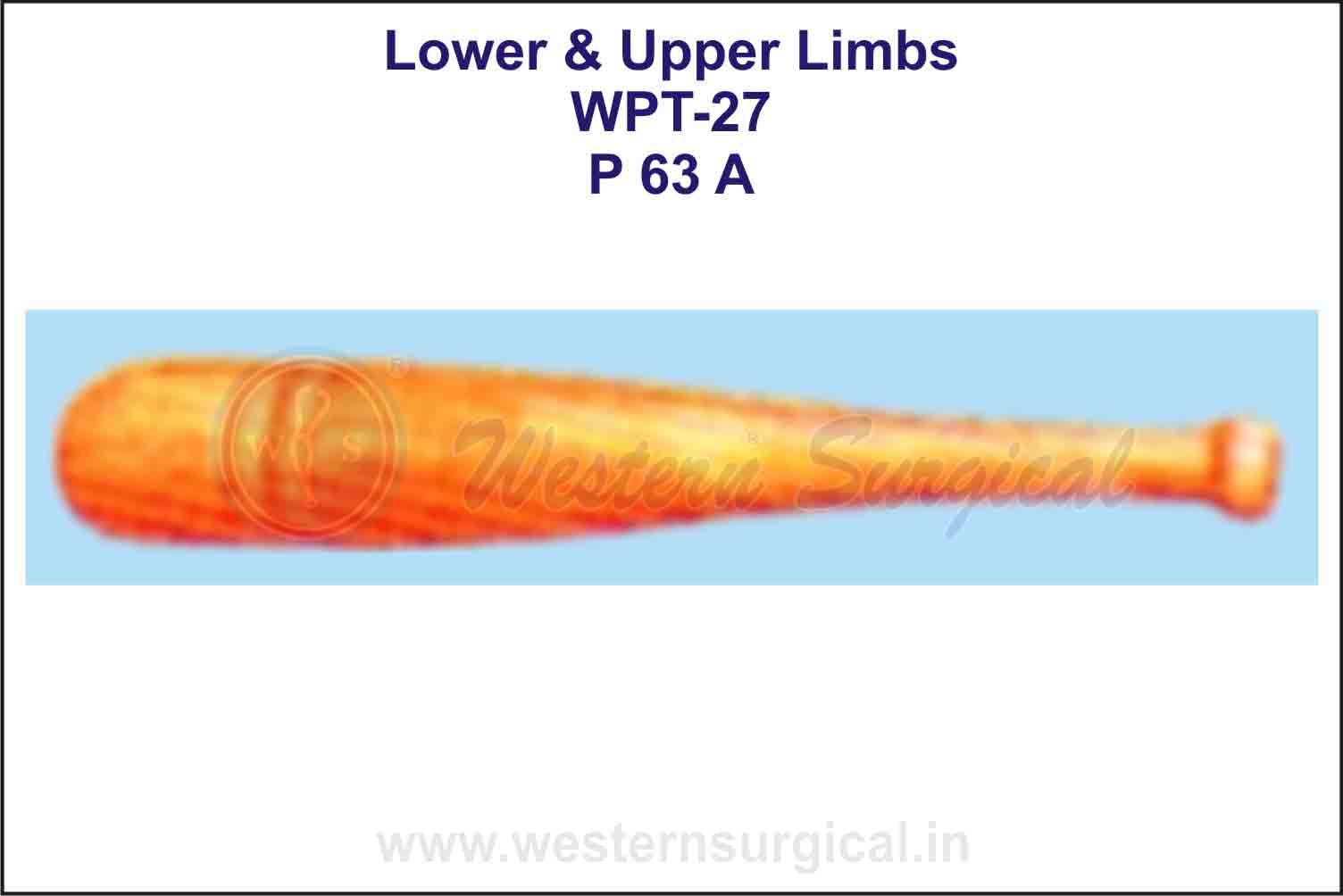 Lower & Upper Limbs