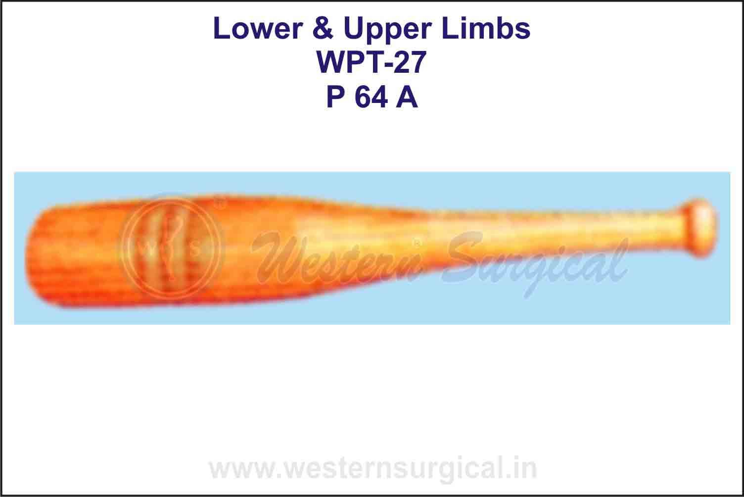 Lower & Upper Limbs