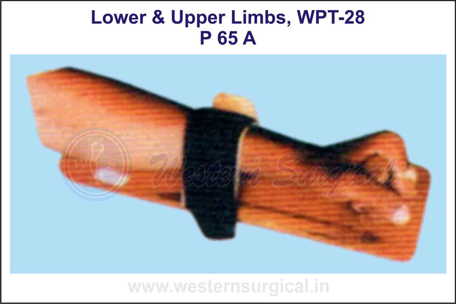 Lower & Upper Limbs