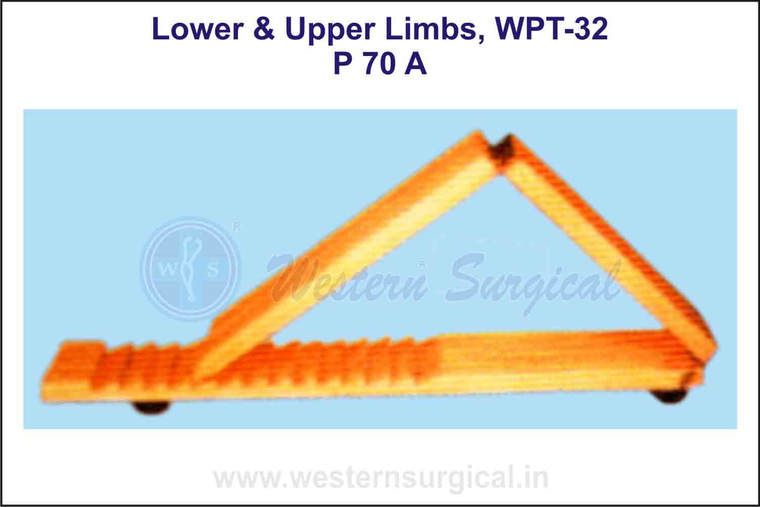 Lower & Upper Limbs