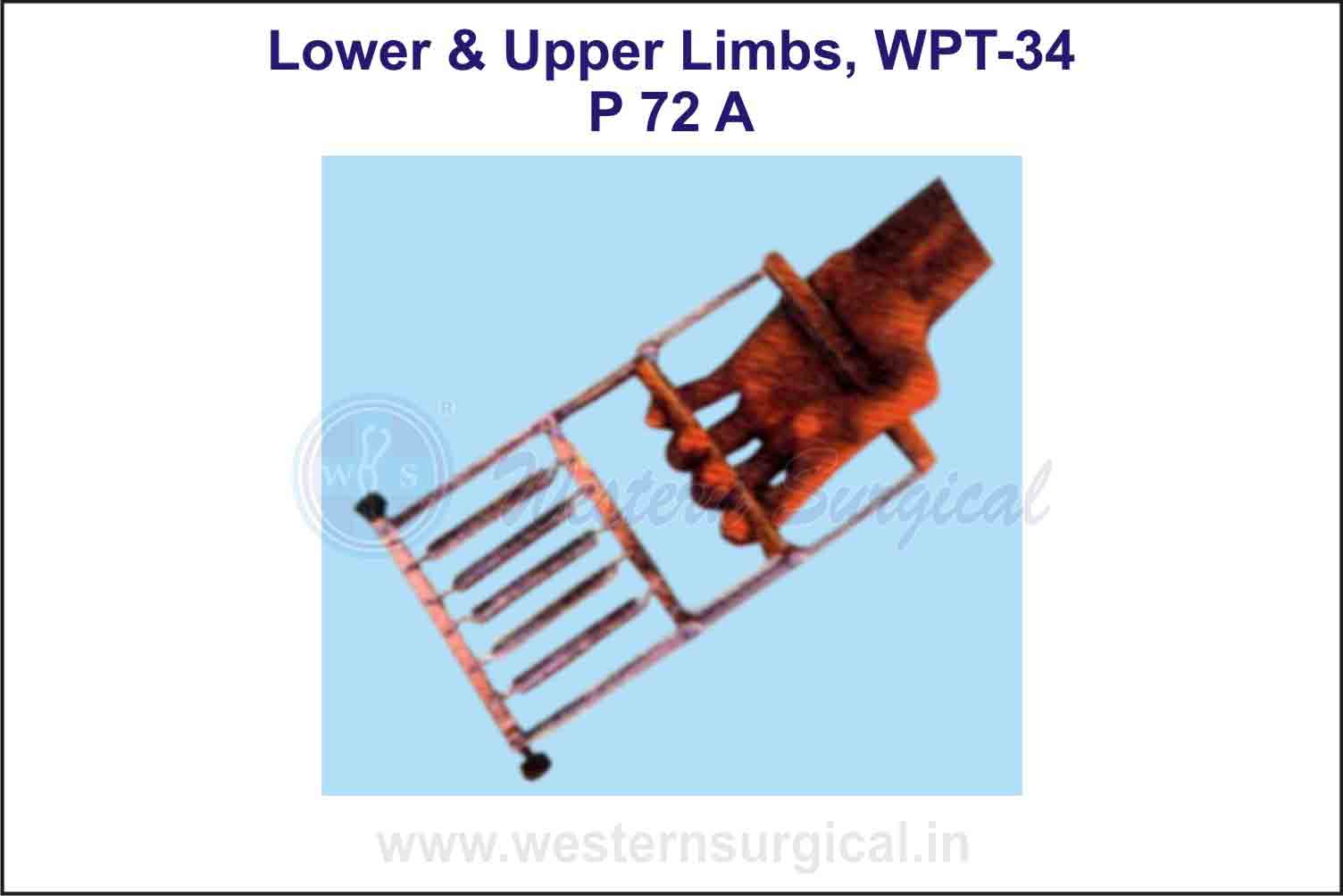 Lower & Upper Limbs