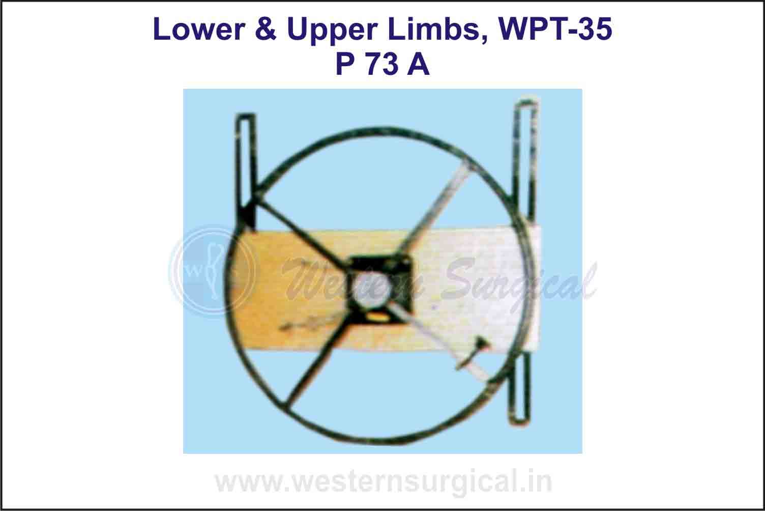 Lower & Upper Limbs