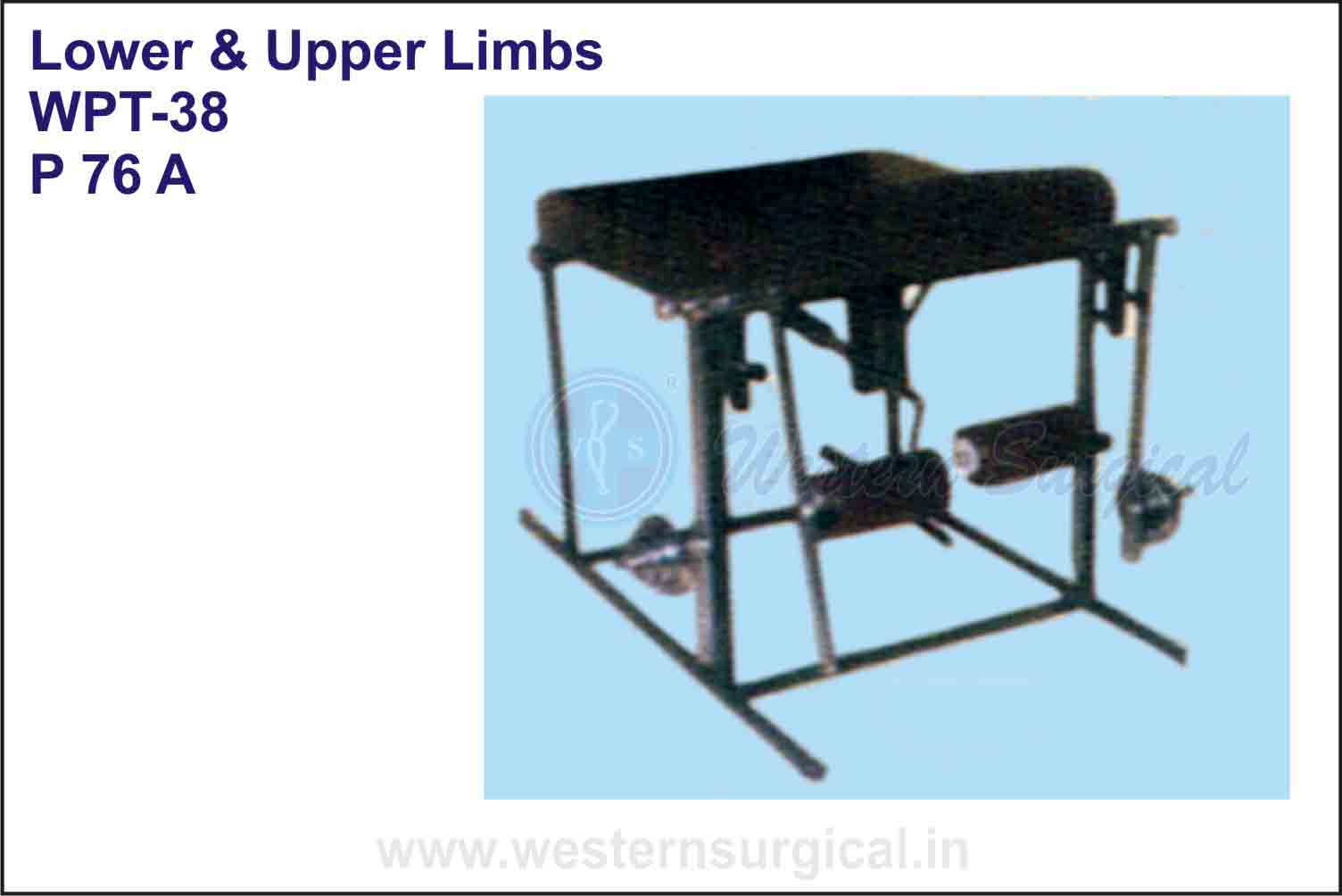 Lower & Upper Limbs