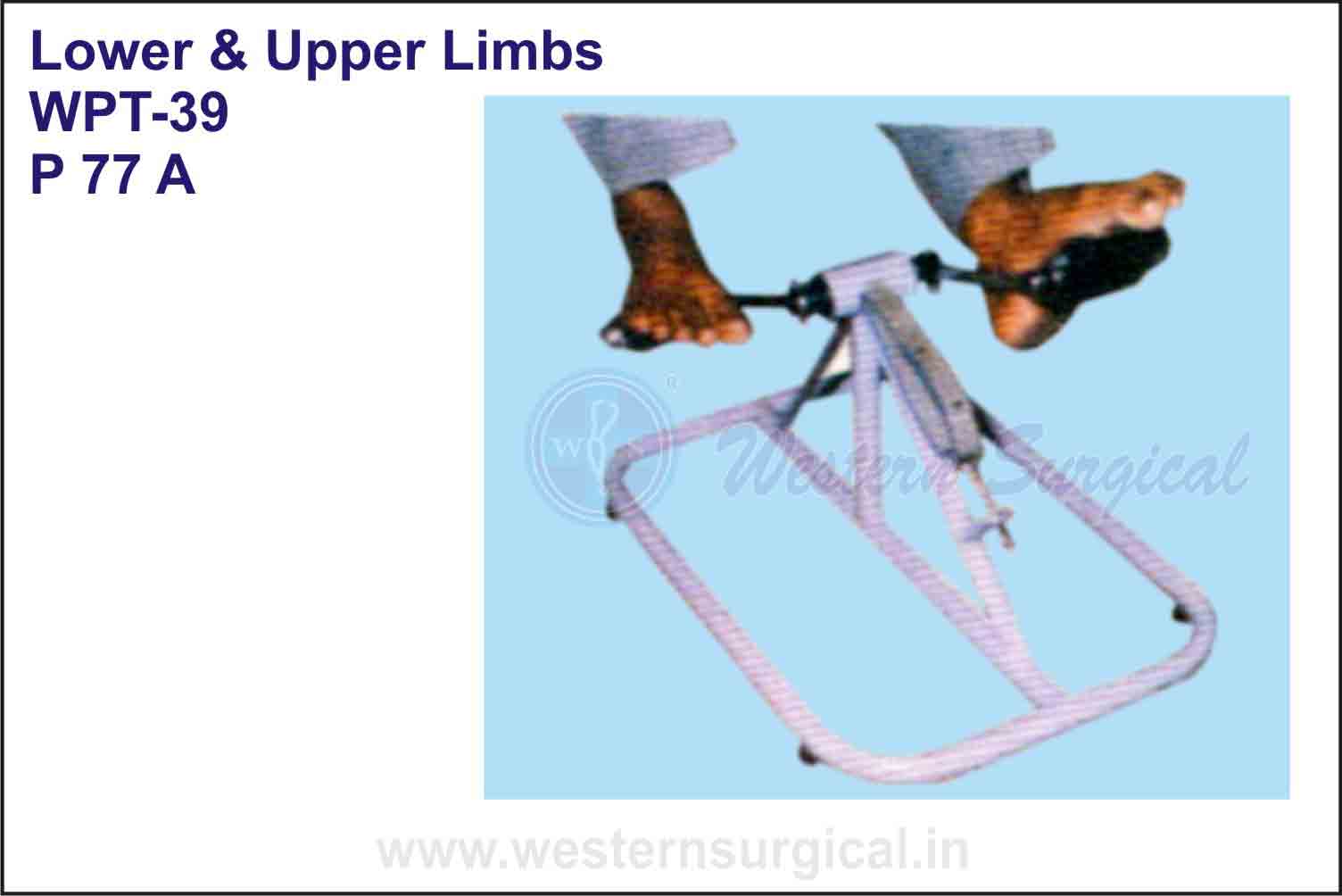 Lower & Upper Limbs