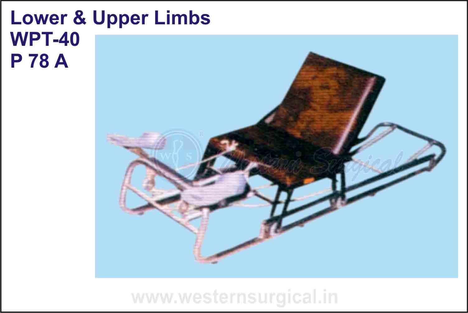 Lower & Upper Limbs