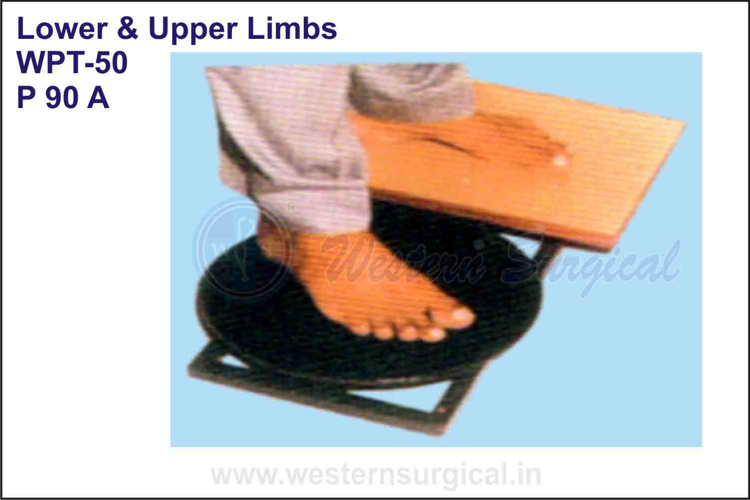 Lower & Upper Limbs