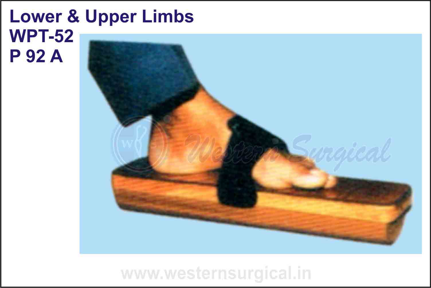 Lower & Upper Limbs