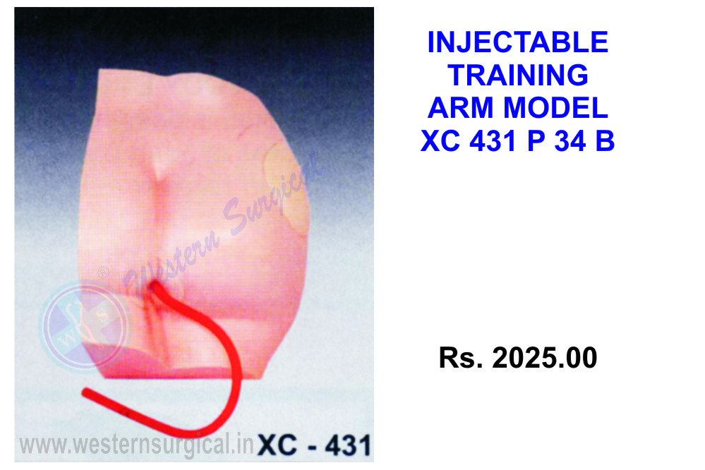 Buttock injection model