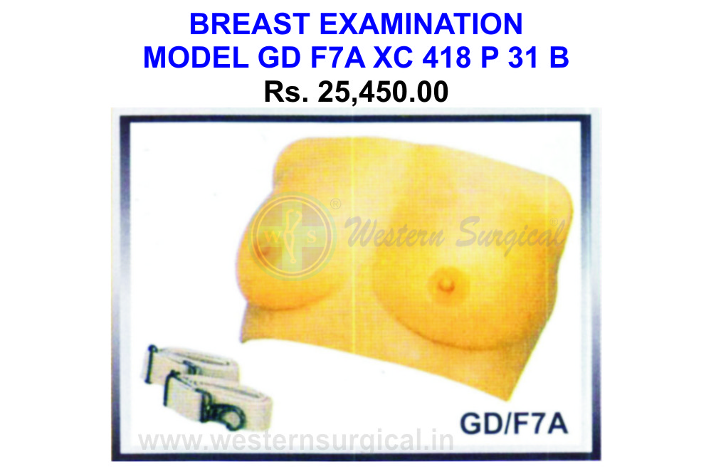 Breast Examination model