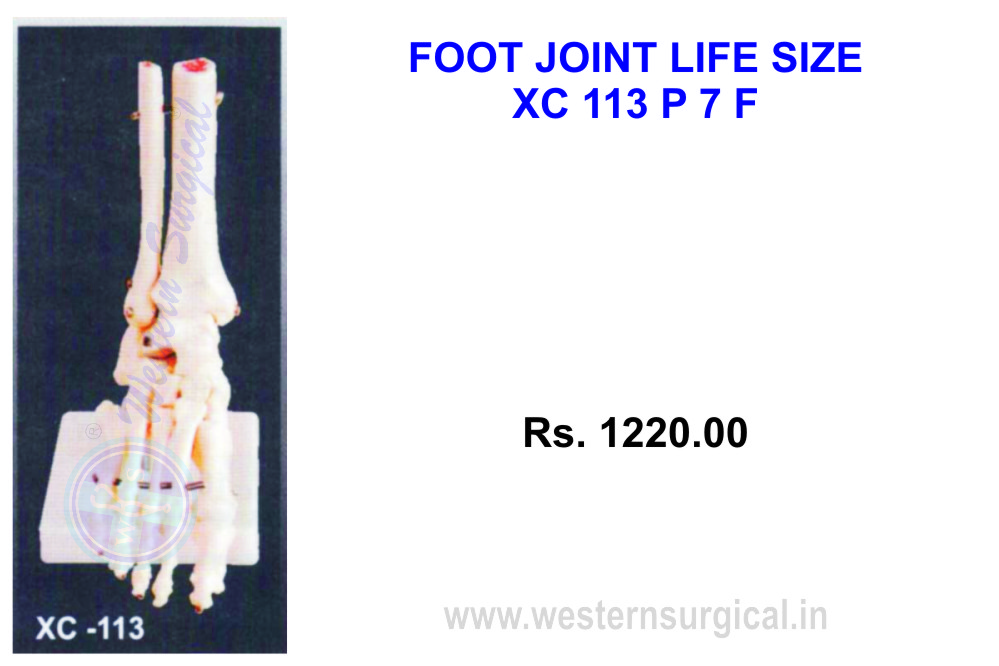 Foot Joint