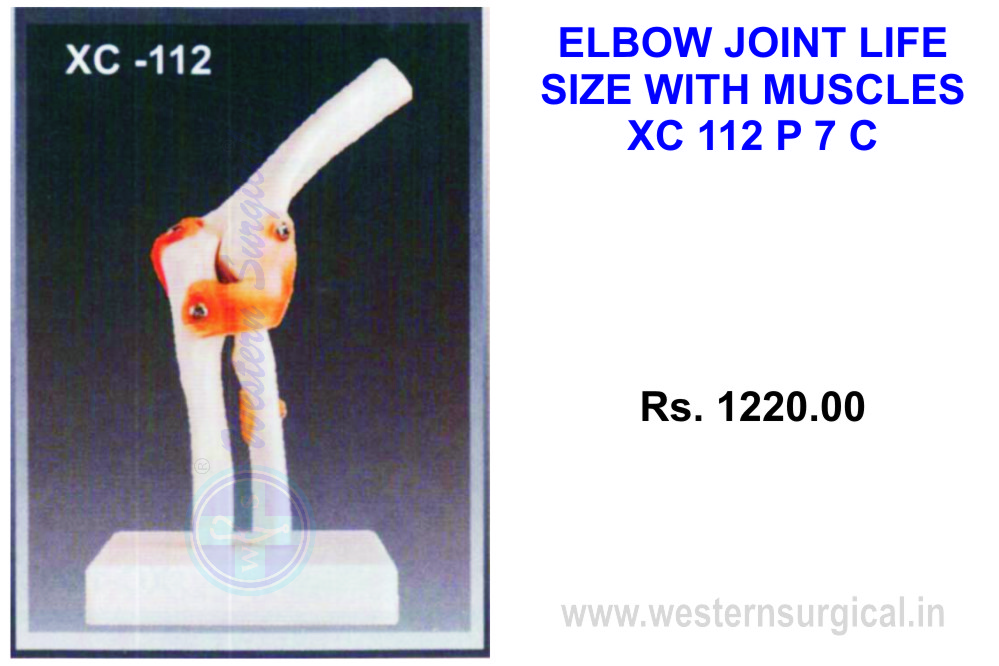 Elbow Joint