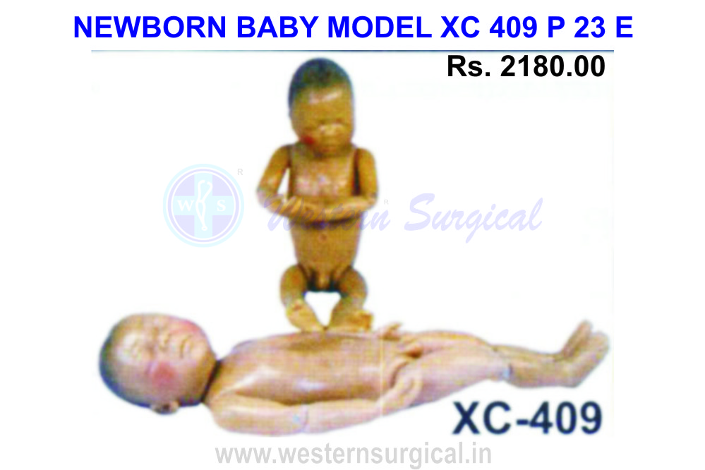 Newborn Baby Model