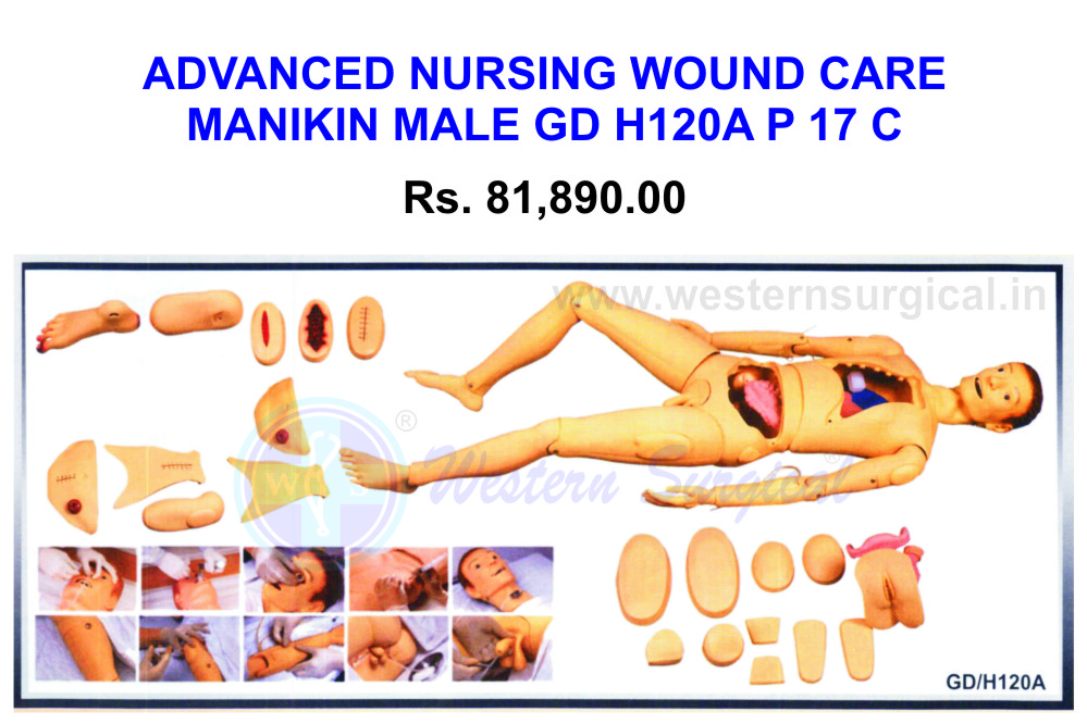 Advanced Nursing & Wound care Manikin(Male) 