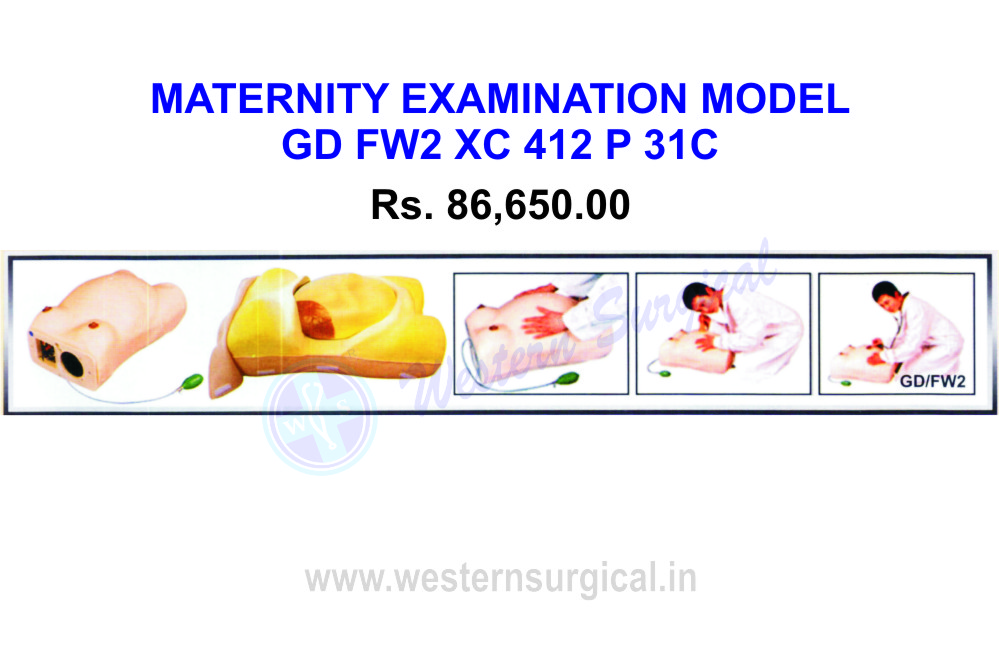 Maternity Examination Model