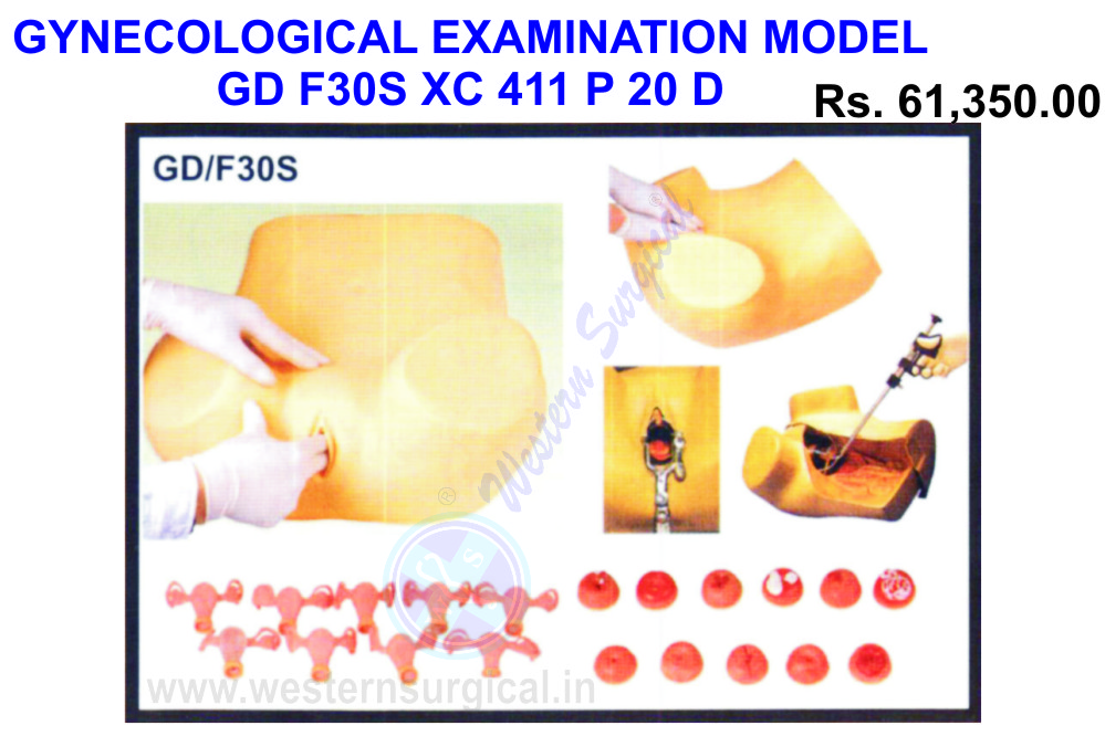 Gynecological Examination model
