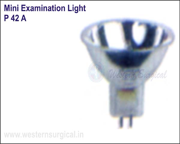 Mini Examination Light