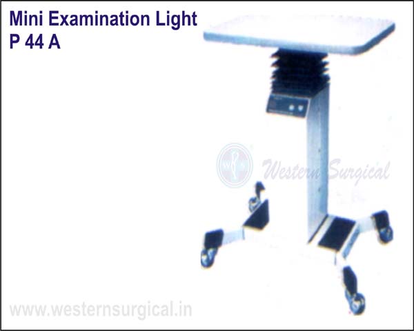 Mini Examination Light