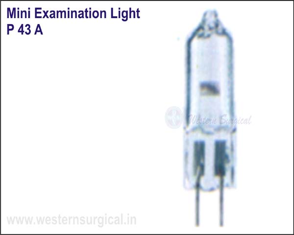 Mini Examination Light