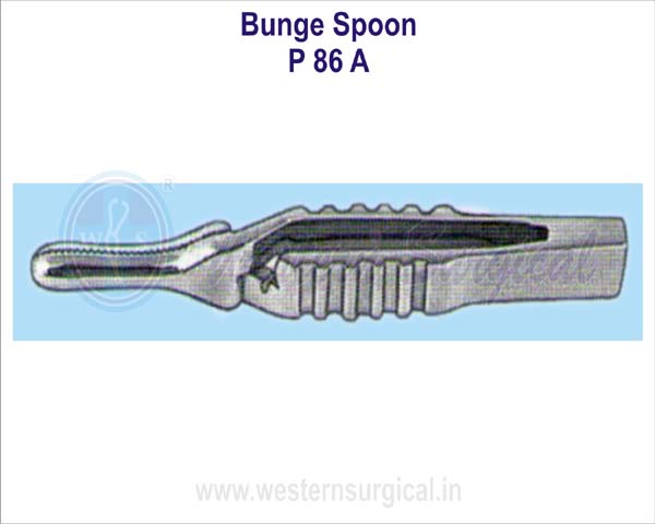 Bunge spoon