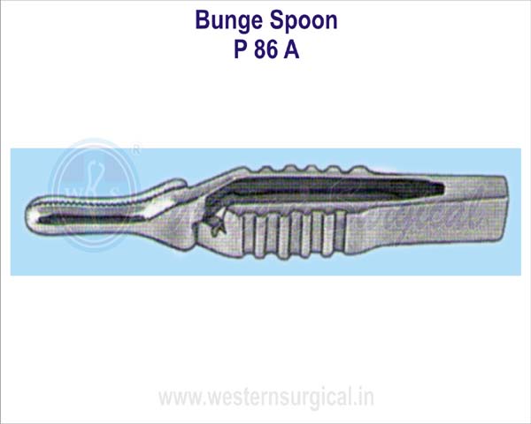 Bunge spoon 