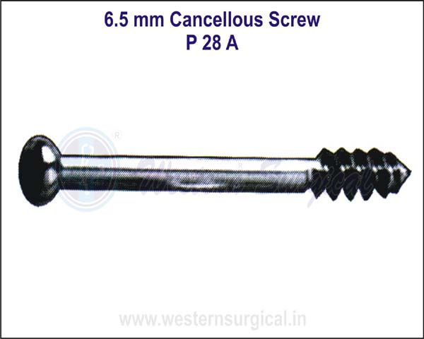 6.5 mm Cancellous Screw Thread Length 16 mm