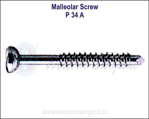 Malleolar Screw