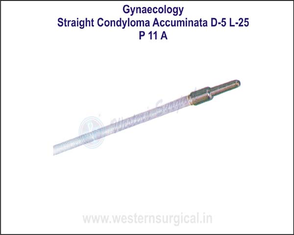 Straight Condyloma Accuminata