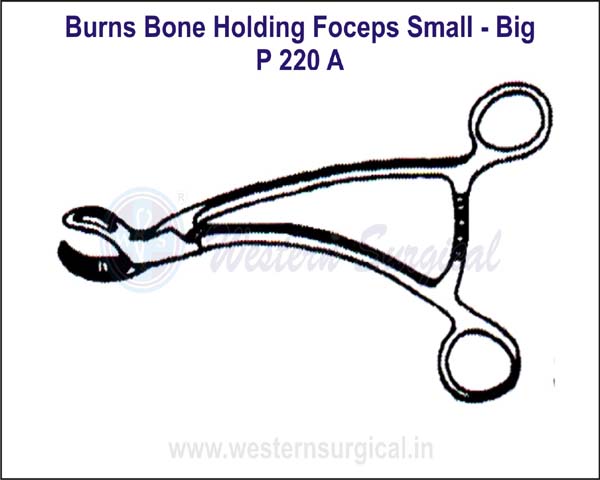 Burns Bone Holding Forceps Small - Big