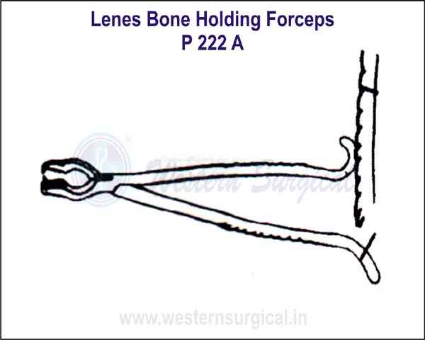Lenes Bone Holding Forceps
