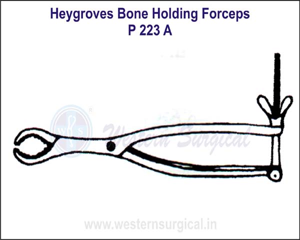Heygroves Bone Holding Forceps