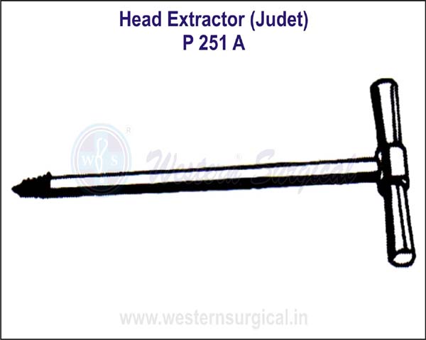 Head Extractor (JUDET)