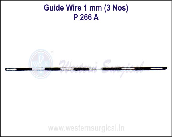 Guide Wire 1 mm (3 Nos)