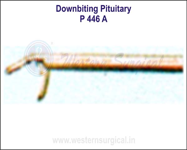 Downbiting Pituitary