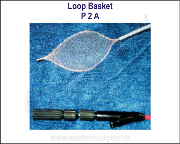 Loop Basket