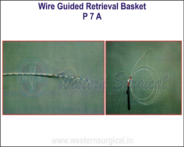 Wire Guided Retrival Basket