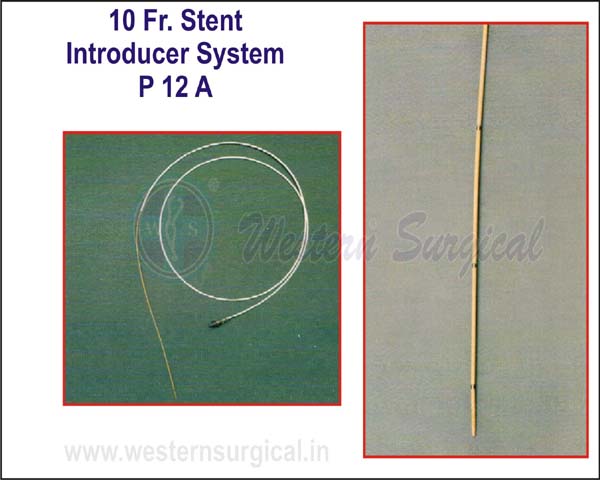 10 Fr. Stent Introducer System