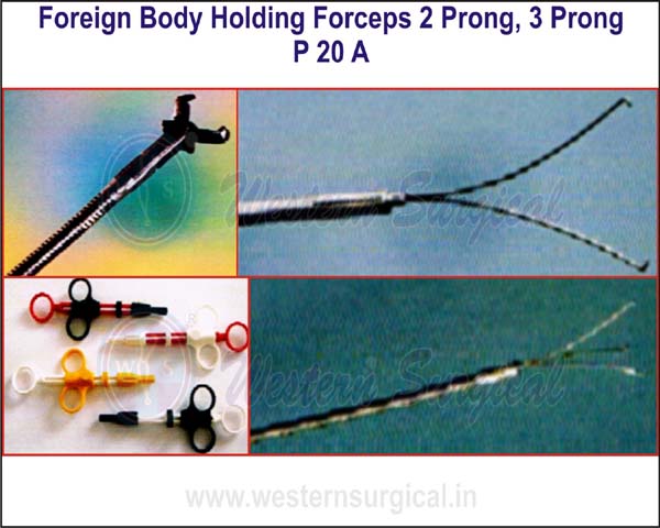 Foreign Body Holding Forceps 2 Prong, 3 Prong