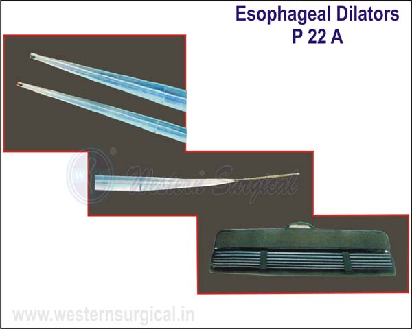 Esophageal Dilators