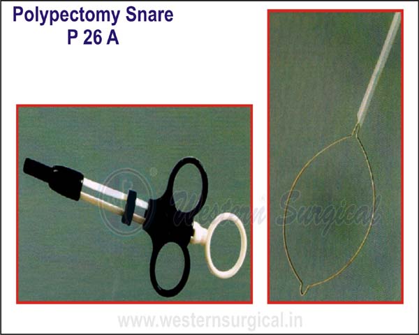 Polypectomy Snare