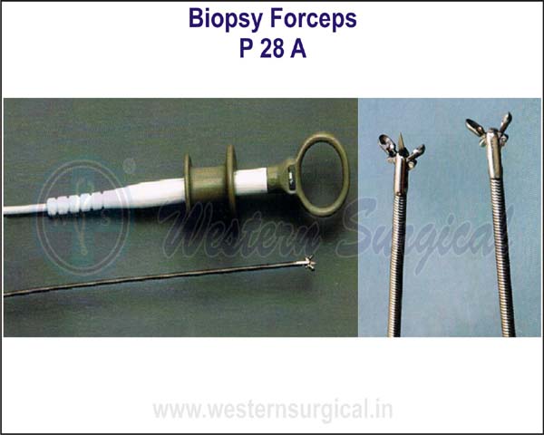 Biopsy Forceps