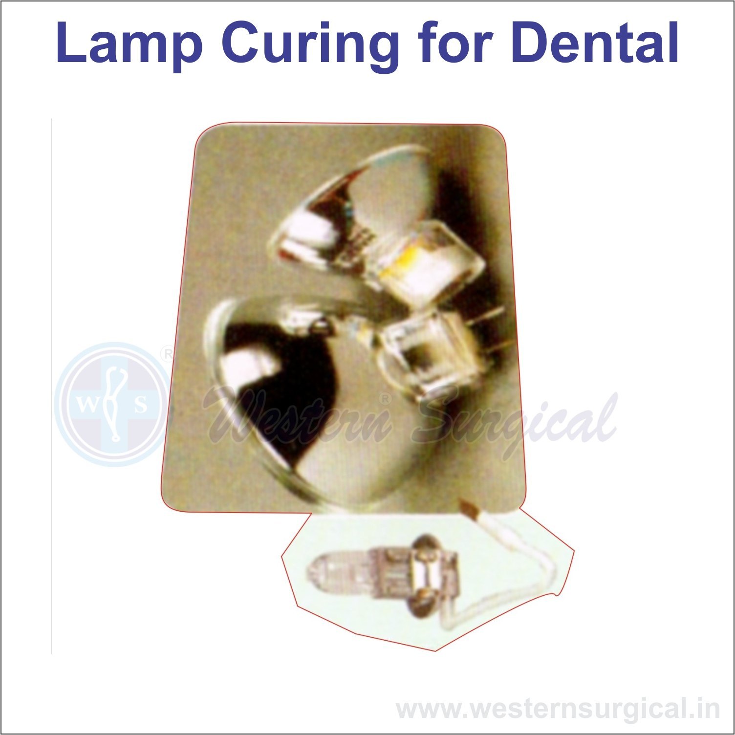 Lamp Curing For Dental