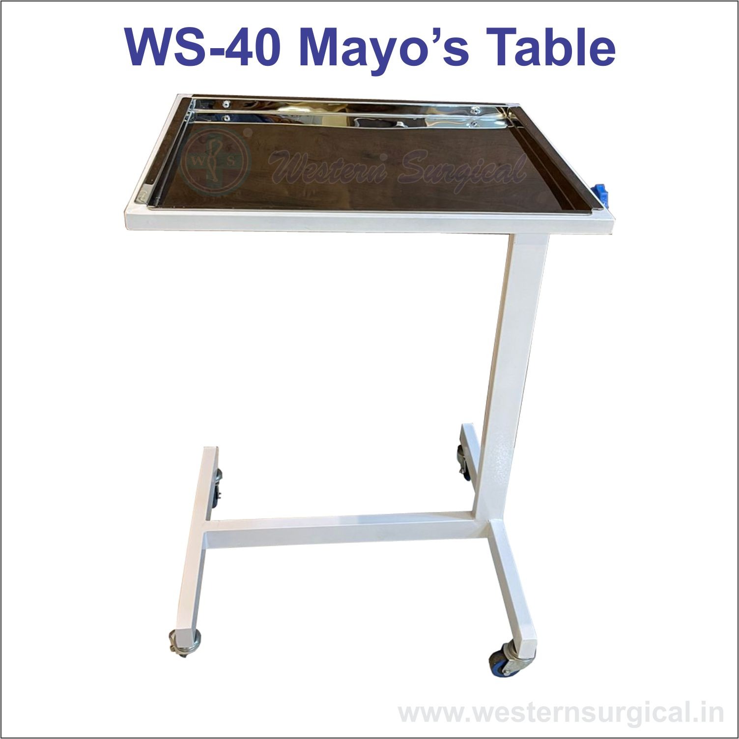 Hospital Mayo's Table