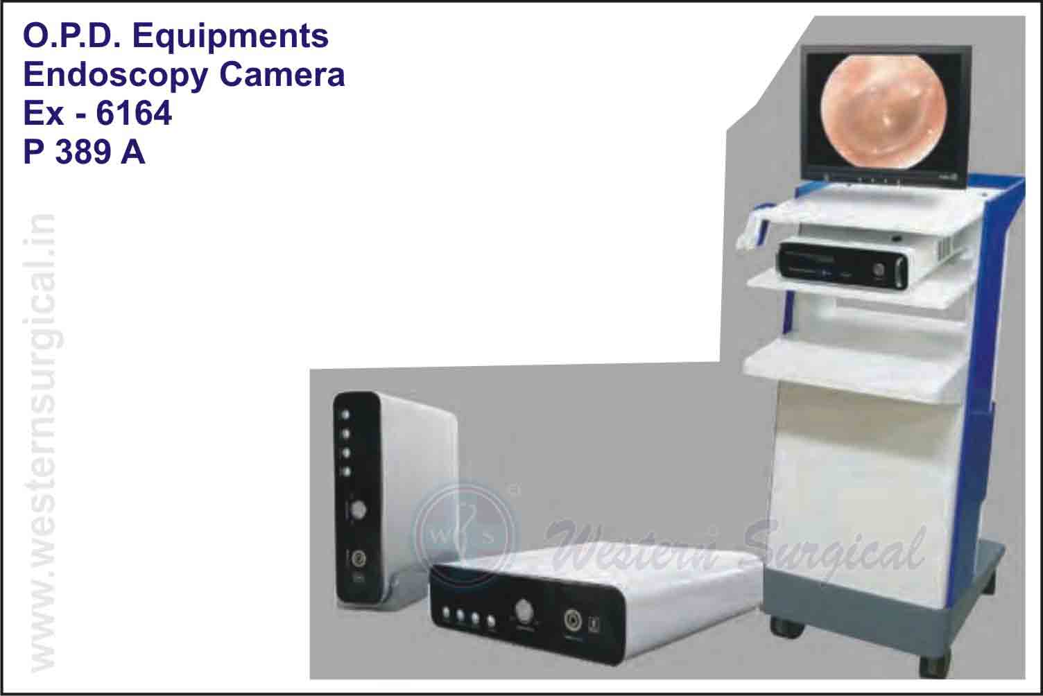 ENDOSCOPY CAMERA